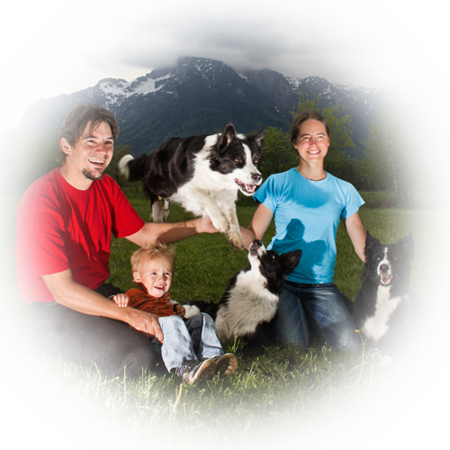 Willkommen bei Alpha Dogs | individuelle Hundeschule in Salzburg